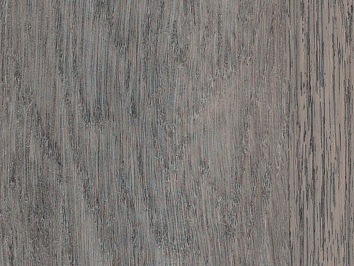 AMTICO FIRST Wood Trent oak SF3W2777